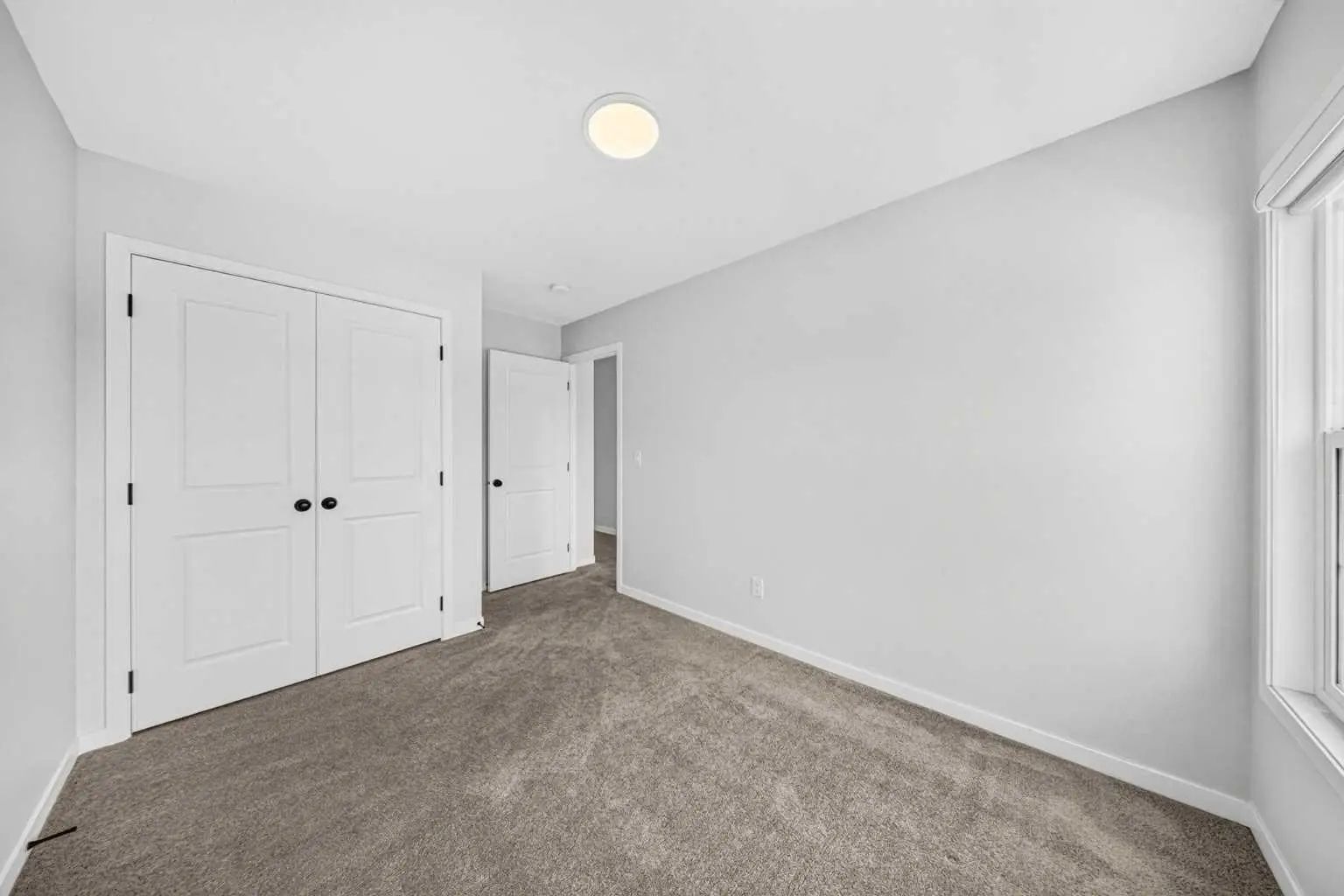 389 Cornerbrook Road Northeast, Calgary – Residential Detached Listing Photo 28