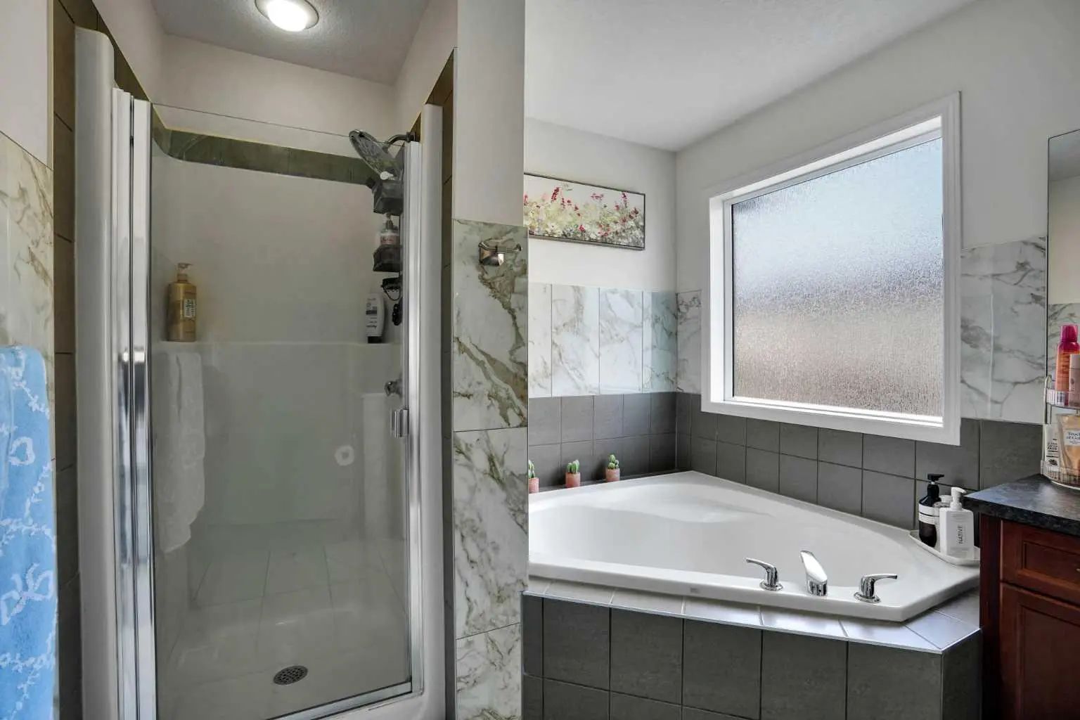 161 Saddleland Crescent Ne Calgary Alberta T3J5K4 Saddle Ridge Home For Sale