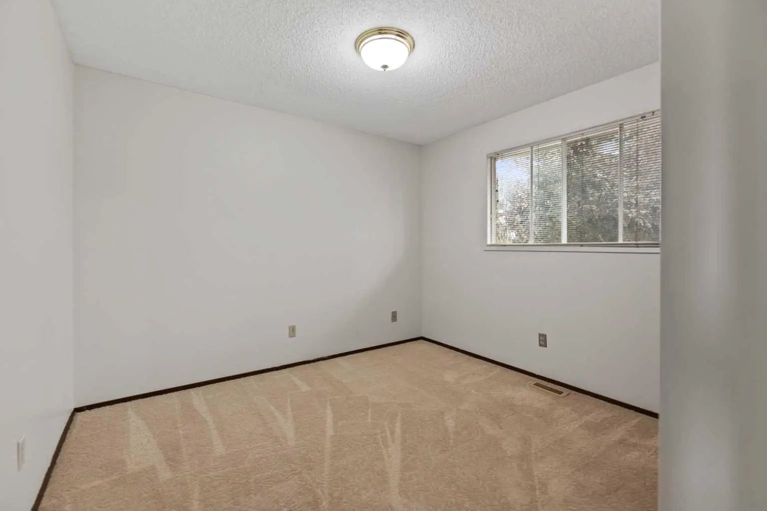 51 Castlebury Way Northeast, Calgary – Residential Detached Listing Photo 19