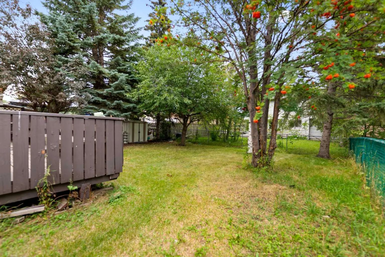 51 Castlebury Way Northeast, Calgary – Residential Detached Listing Photo 4
