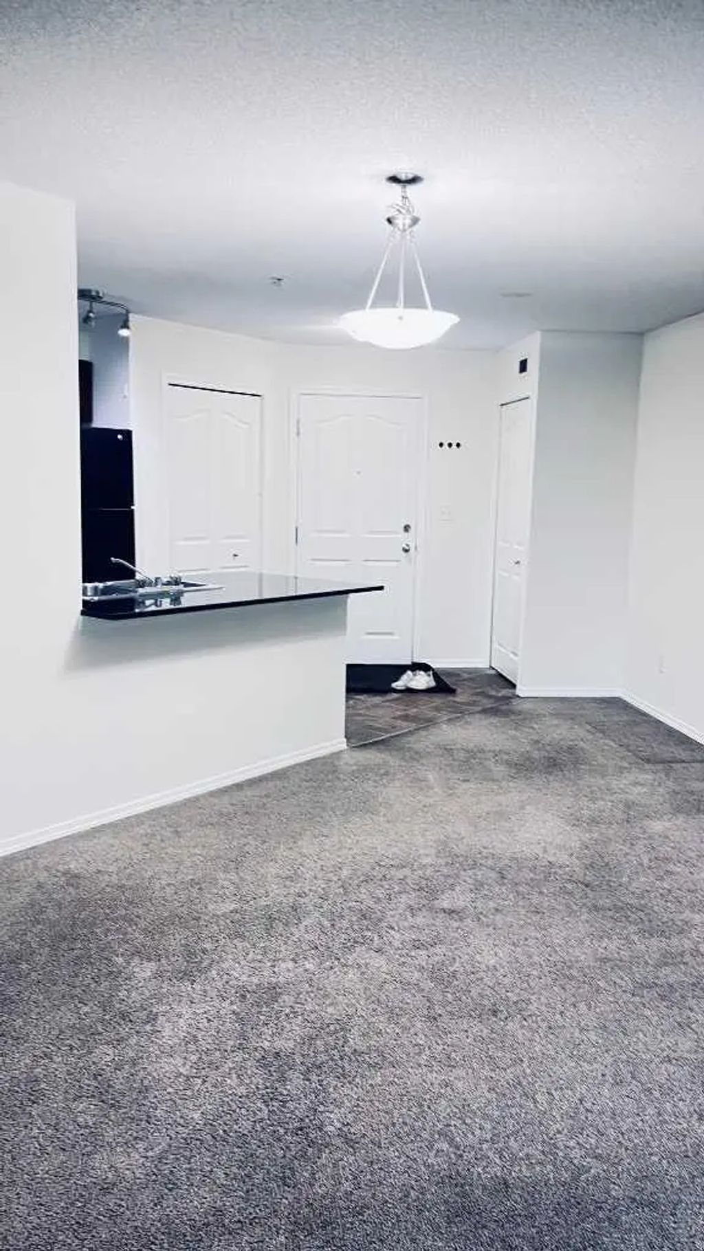 217 7180 80 Avenue Ne, Calgary