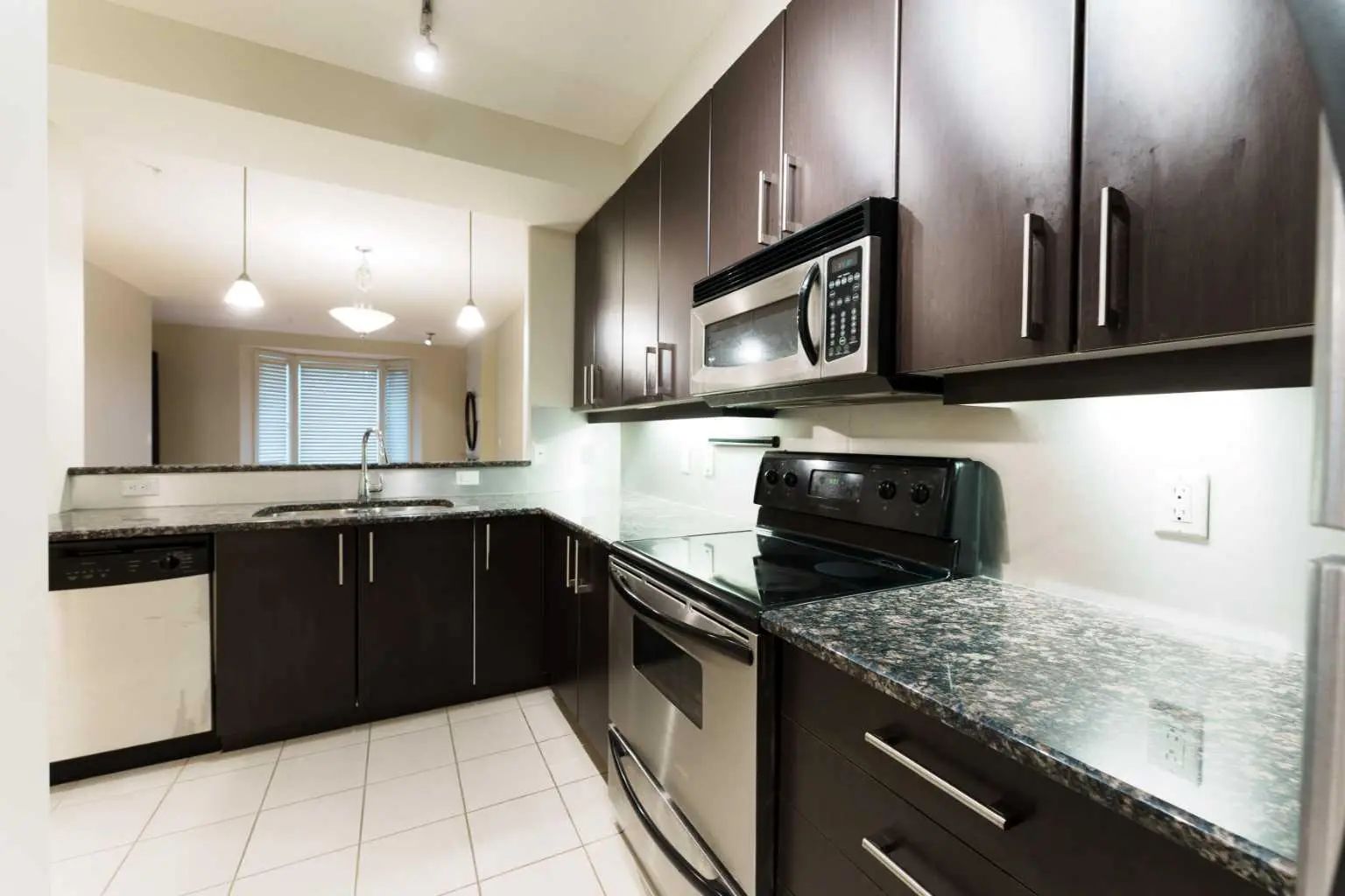 204 830 Centre Avenue Northeast, Calgary – Residential Apartment Listing Photo 5