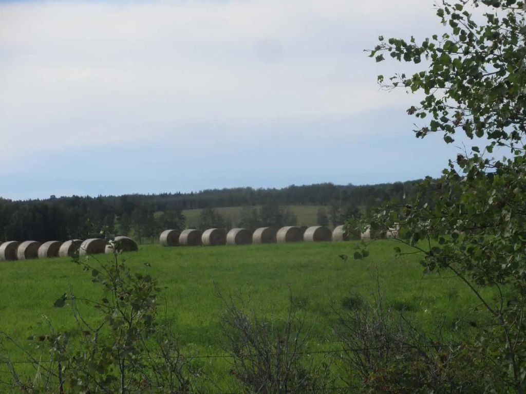 414012 Range Road 6-2  , Rural Clearwater County