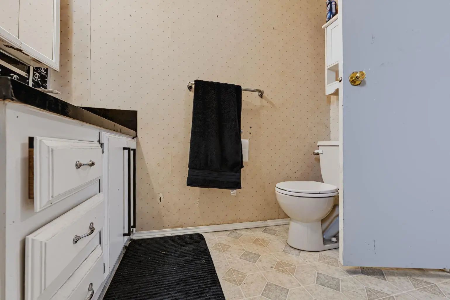 101 Huntstrom Drive Northeast, Calgary – Residential Detached Listing Photo 20