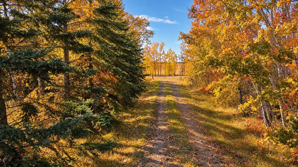 On Rr 251  , Rural Red Deer County