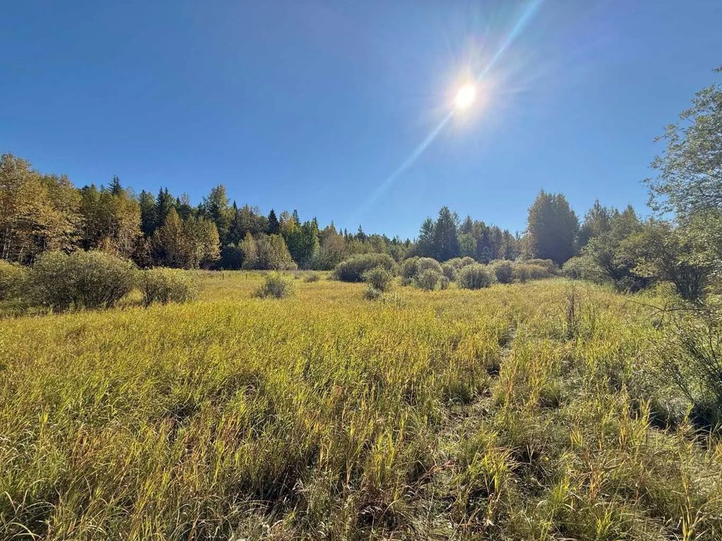 18509 Twp Rd 521a  , Rural Yellowhead County