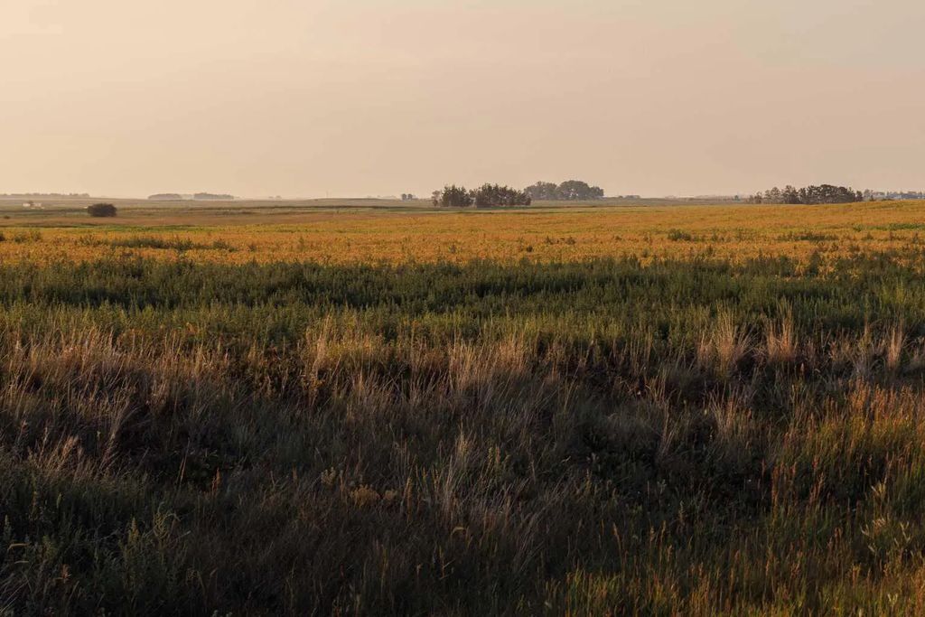 Parcel 6 Range Road 271 Just South Of Highway 9.  , Rural Rocky View County