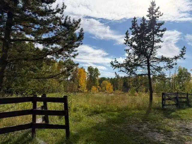 Photo of Listing #A2347503