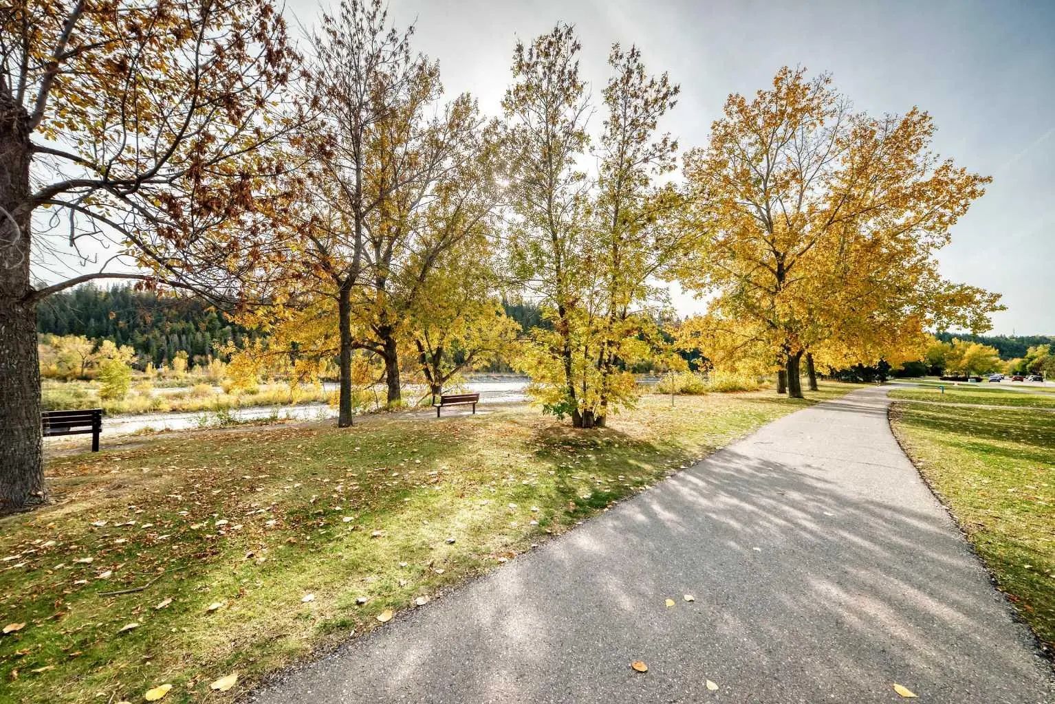 305 3412 Parkdale Boulevard Northwest, Calgary – Residential Apartment Listing Photo 34