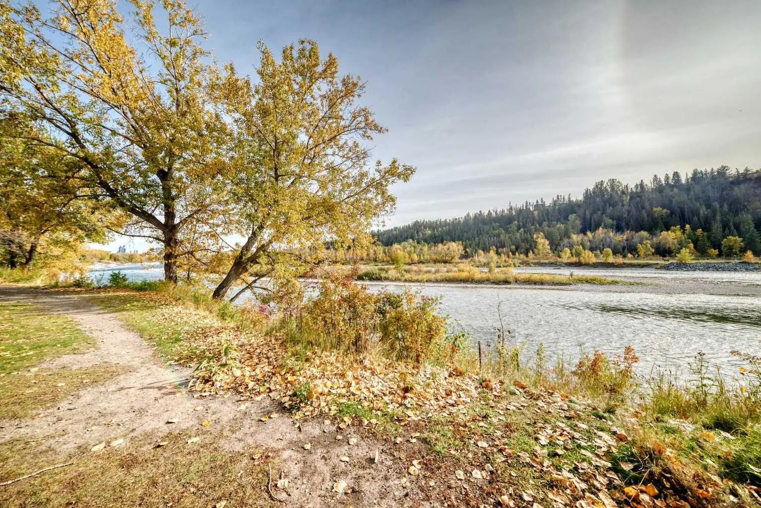 305 3412 Parkdale Boulevard Northwest, Calgary – Residential Apartment Listing Photo 36