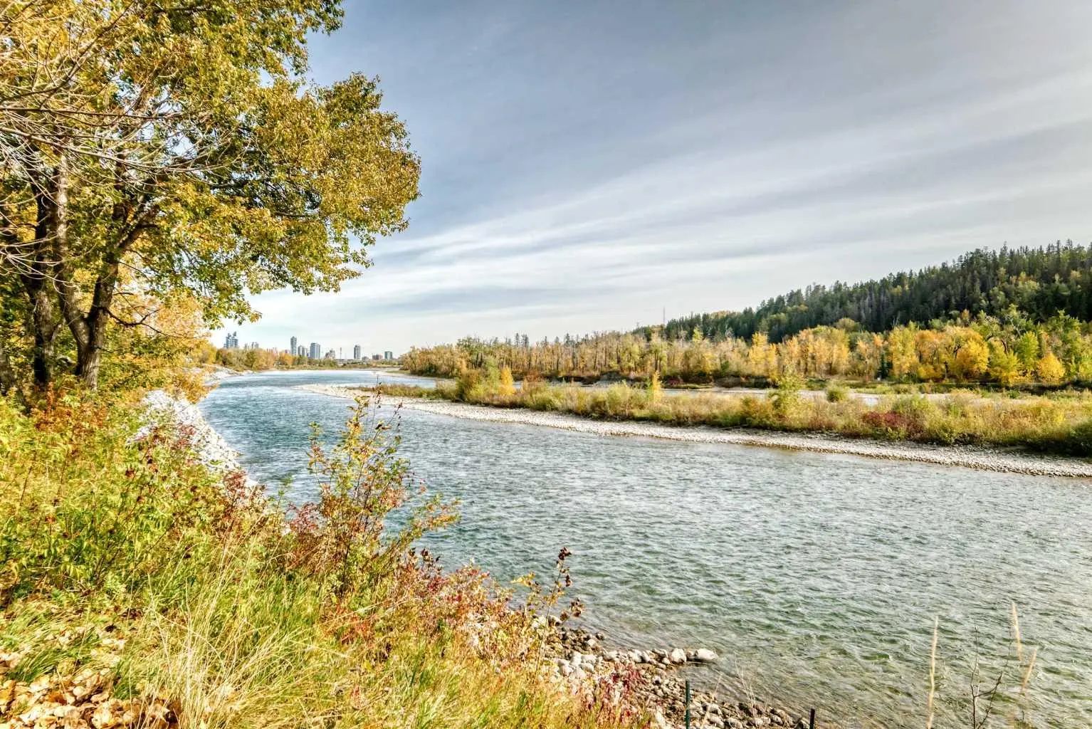 305 3412 Parkdale Boulevard Northwest, Calgary – Residential Apartment Listing Photo 37