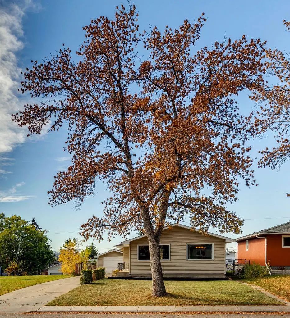 Photo for MLS®# A2350559 - home for sale at 911 17a Street Northeast, Mayland Heights, Calgary Alberta