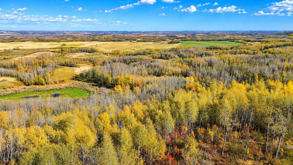 On Range Road 260  , Rural Red Deer County