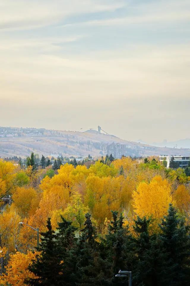 610 1111 6 Avenue Sw, Calgary