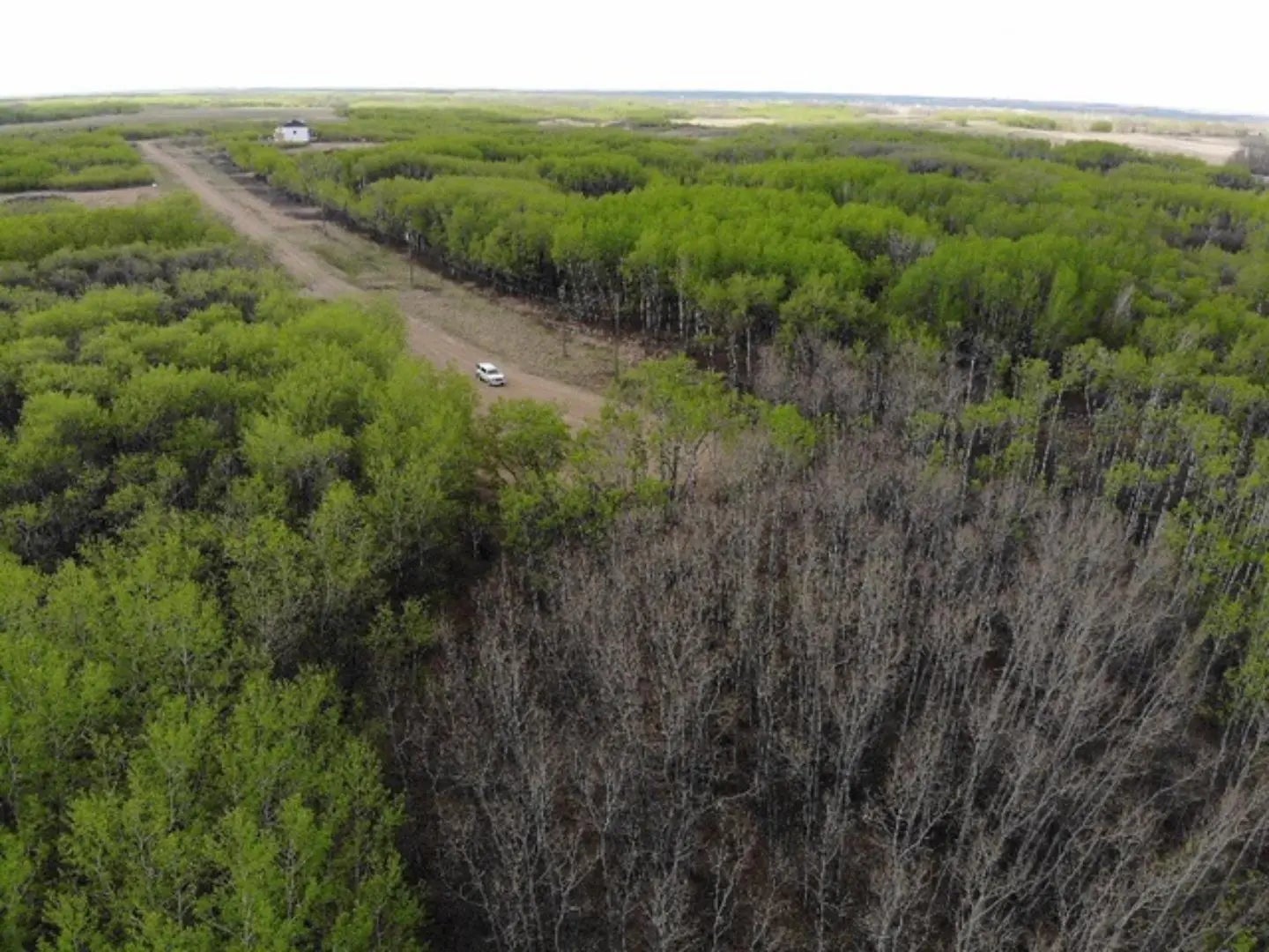 Photo of Listing #A1150695