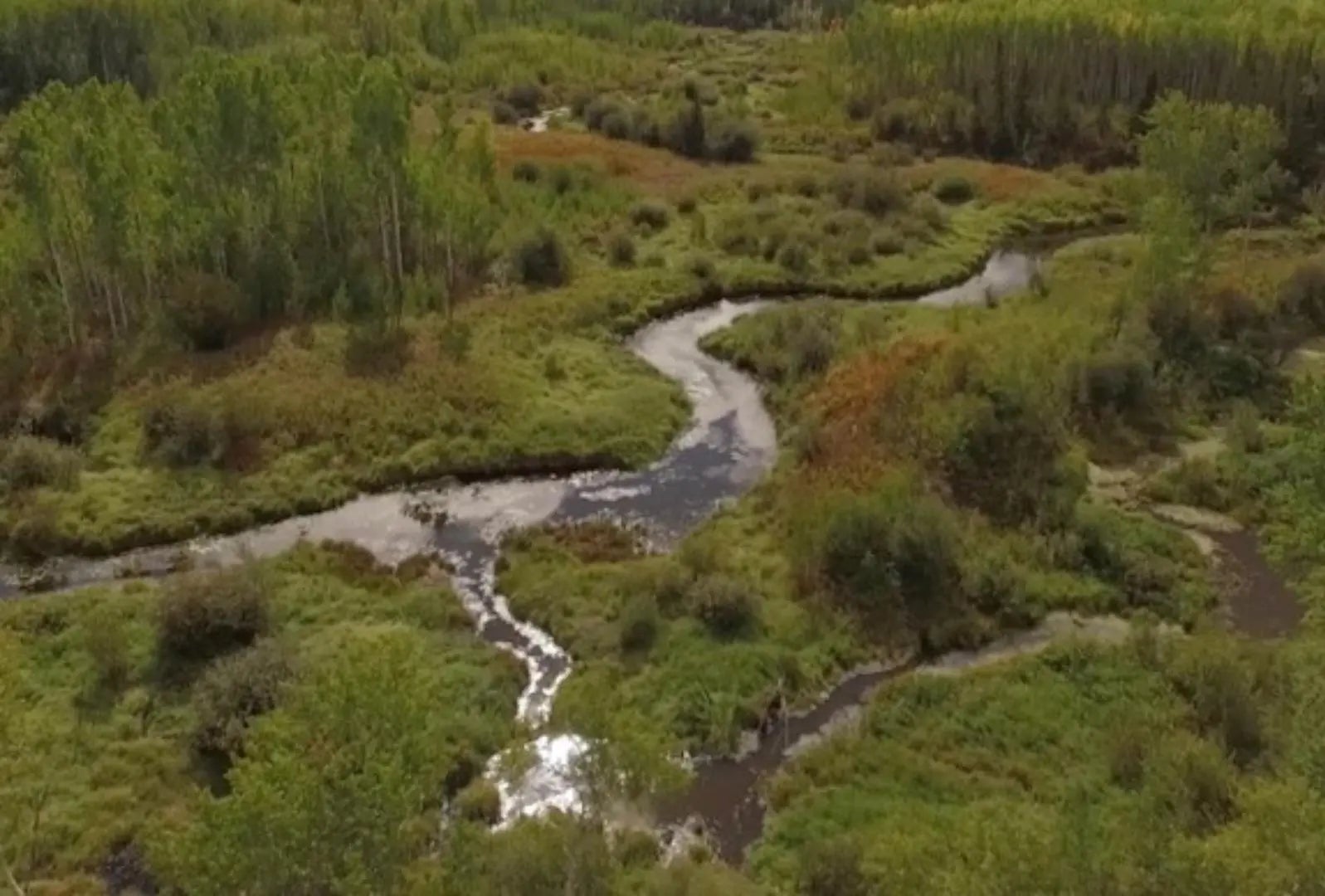 Photo of Listing #A1157627