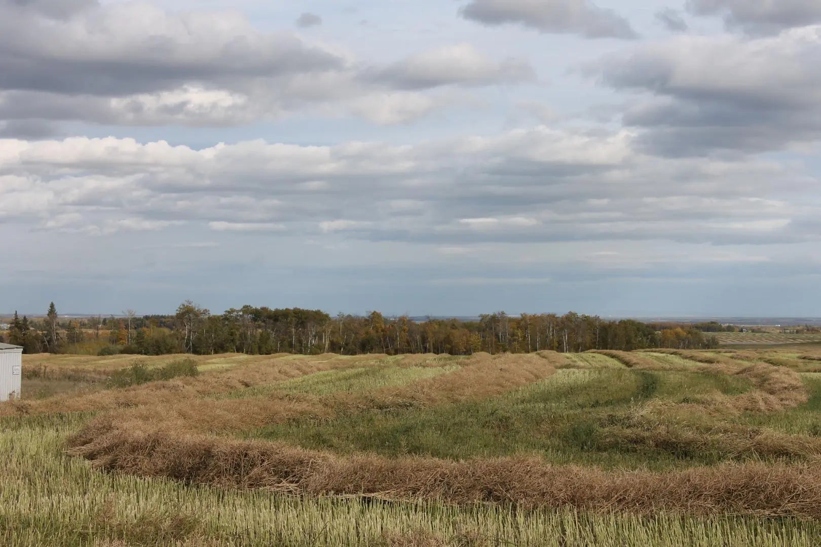 Photo of Listing #A1165129