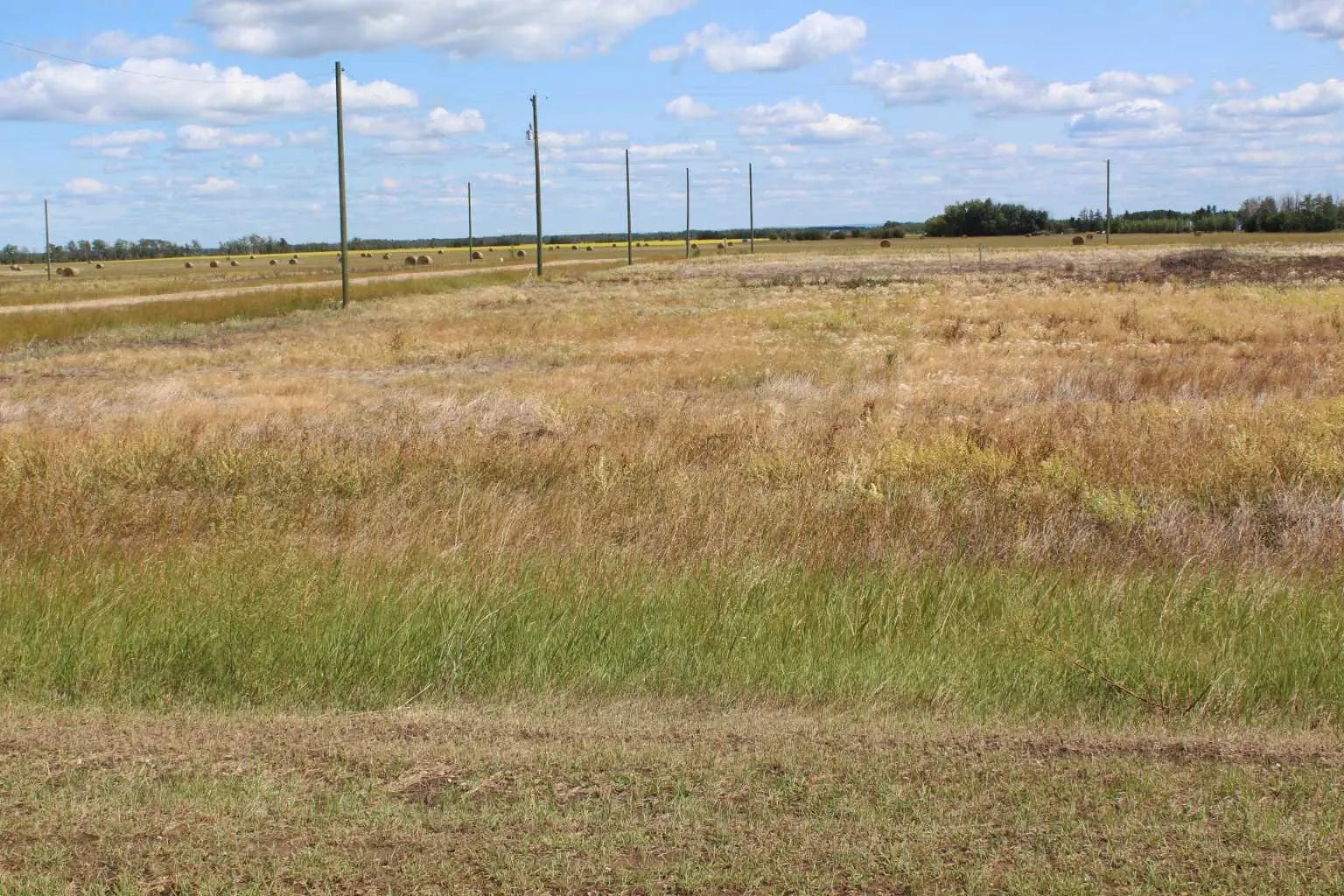 Photo of Listing #A2019177