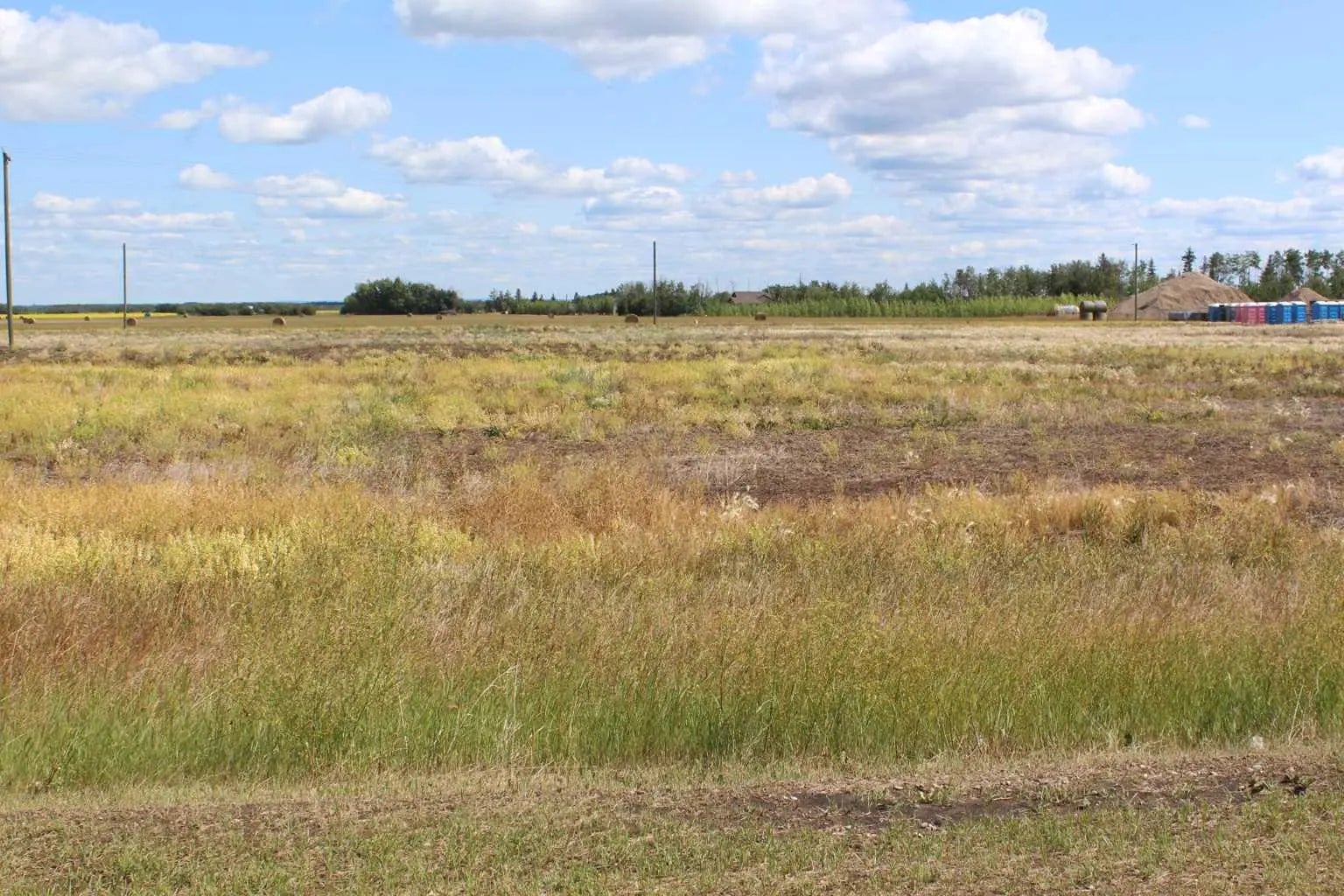 Photo of Listing #A2019178