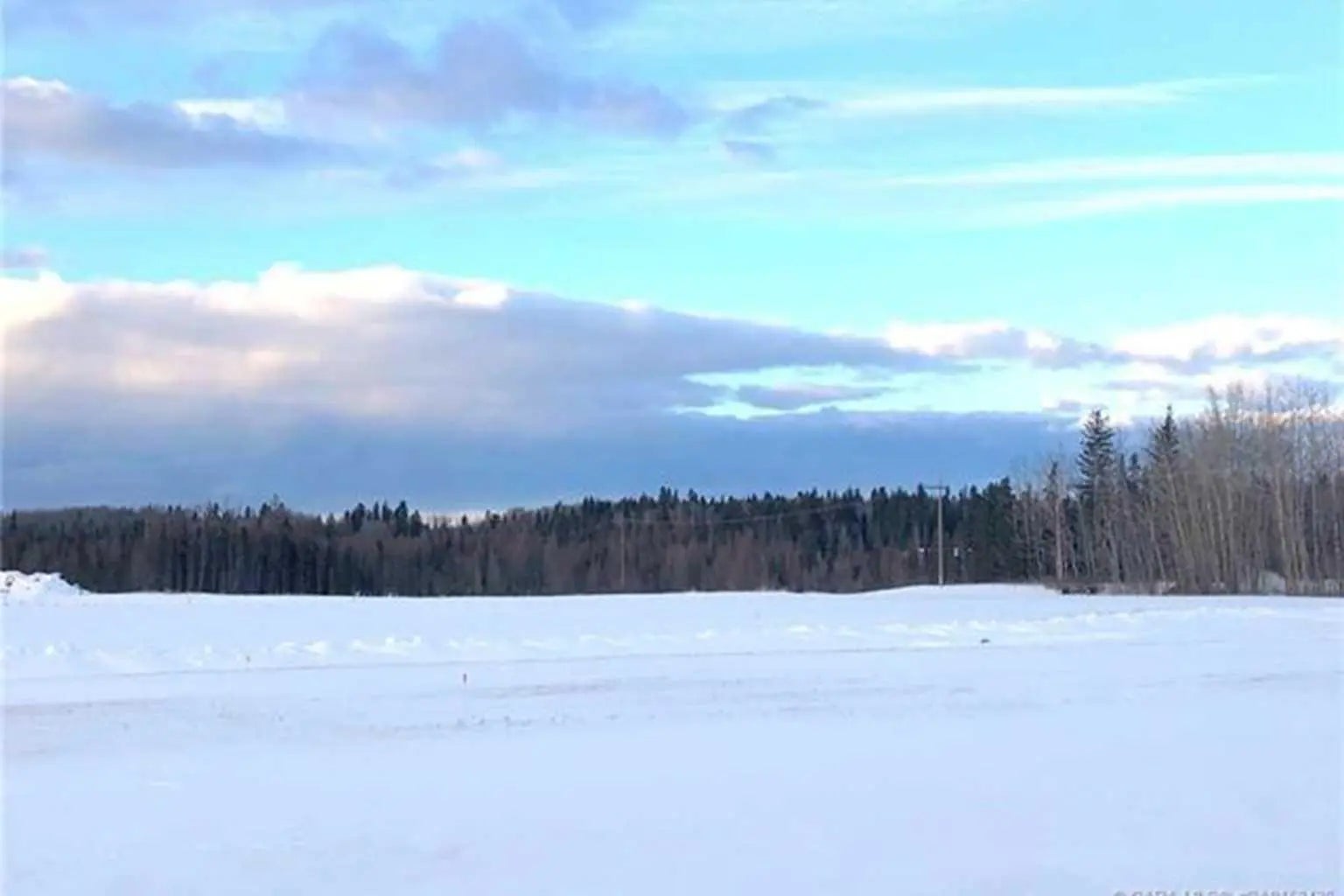 Photo of Listing #A2126991