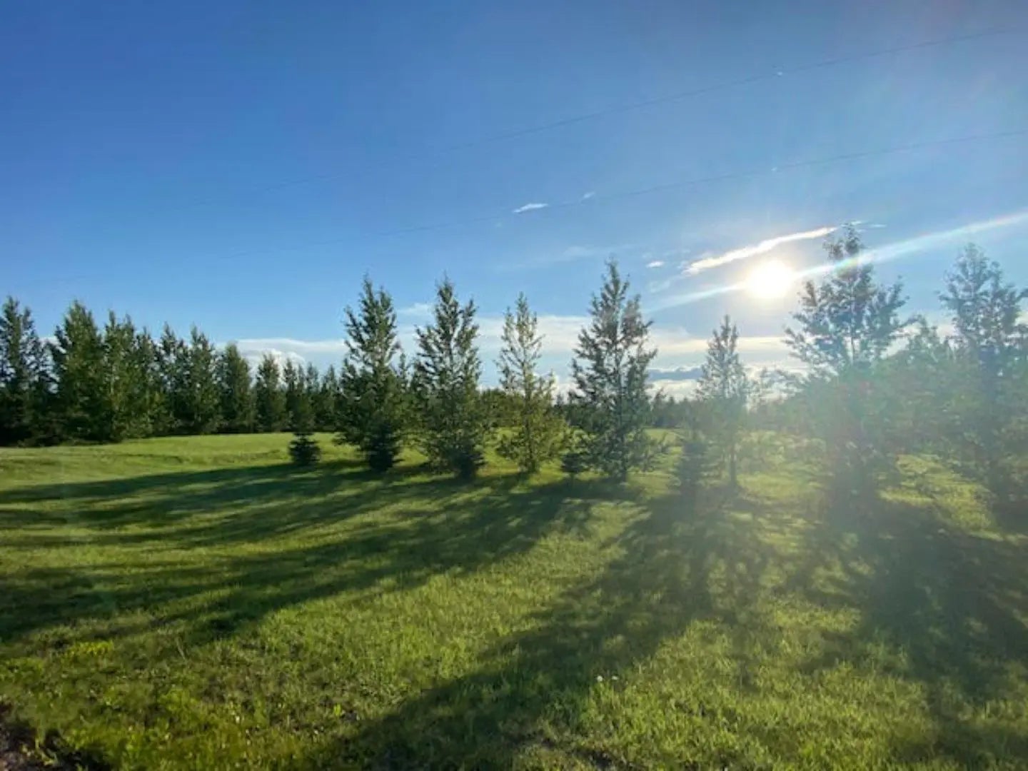 Photo of Listing #A2176440