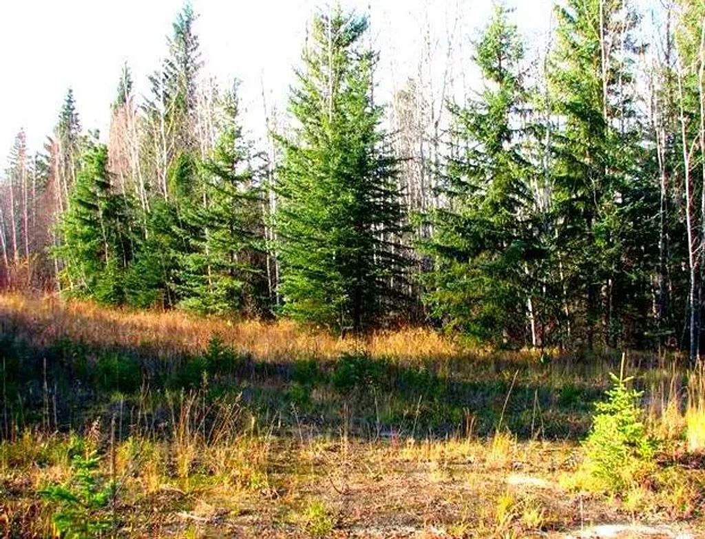 14560 674 Township , Rural Lac La Biche County
