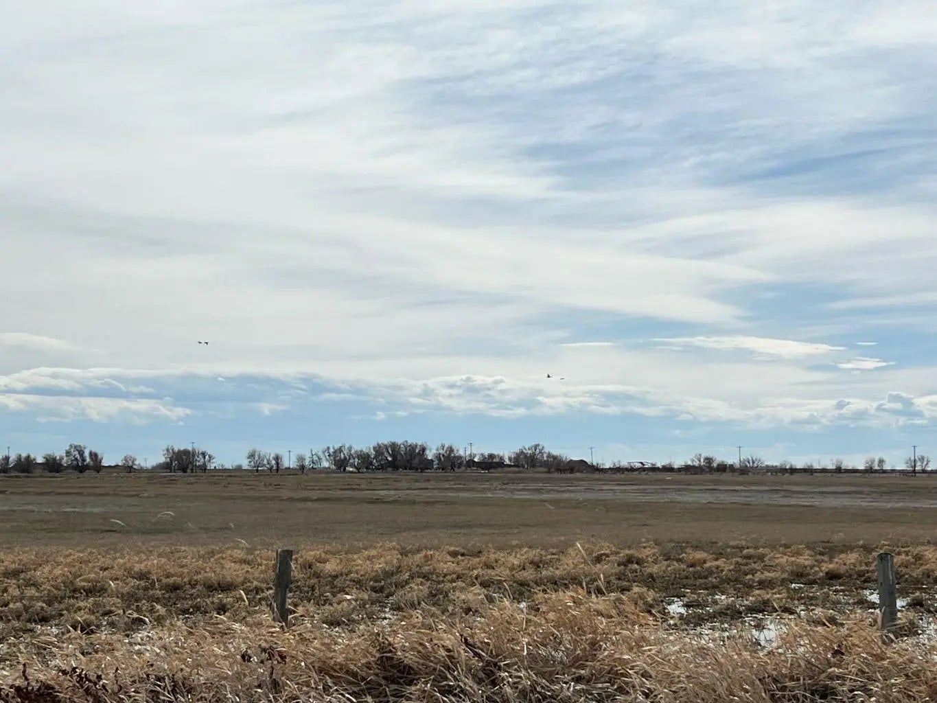 Photo of Listing #A2188490