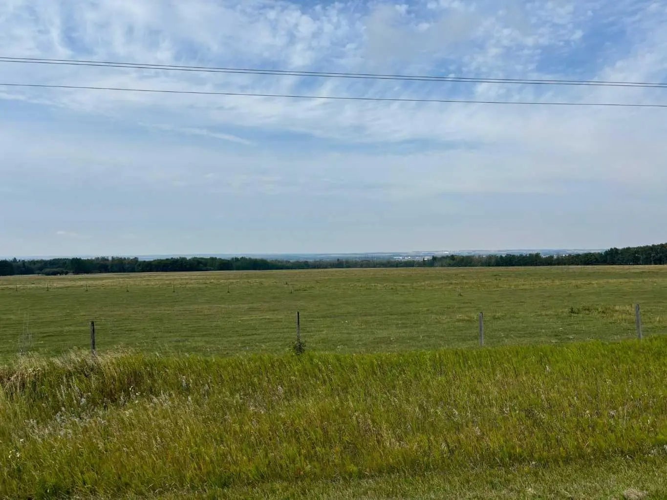 Photo of Listing #A2190181