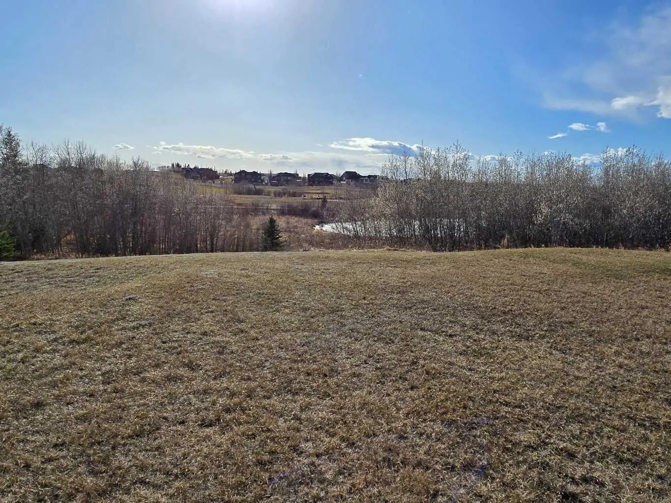 Photo of Listing #A2194610