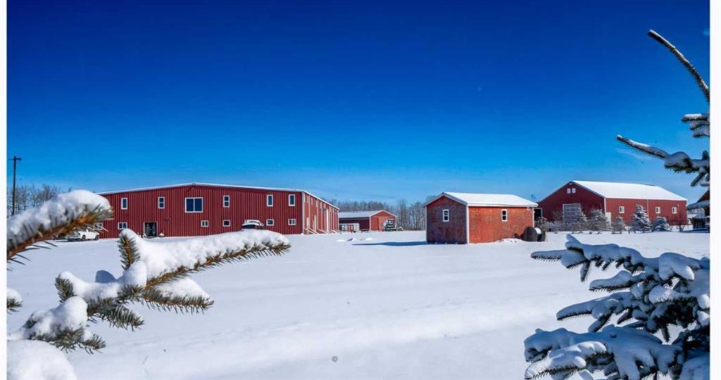 Photo of Listing #A2100749