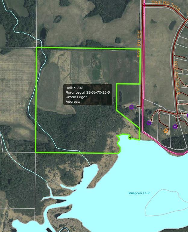 Photo of Listing #A2195387