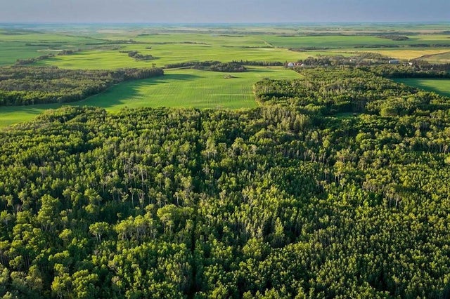 9-43-18-w4, Rural Camrose County