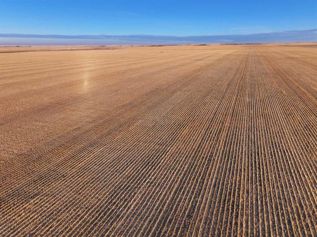 Photo of Listing #A2269540