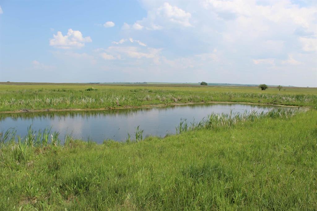 Photo of Listing #A2271161