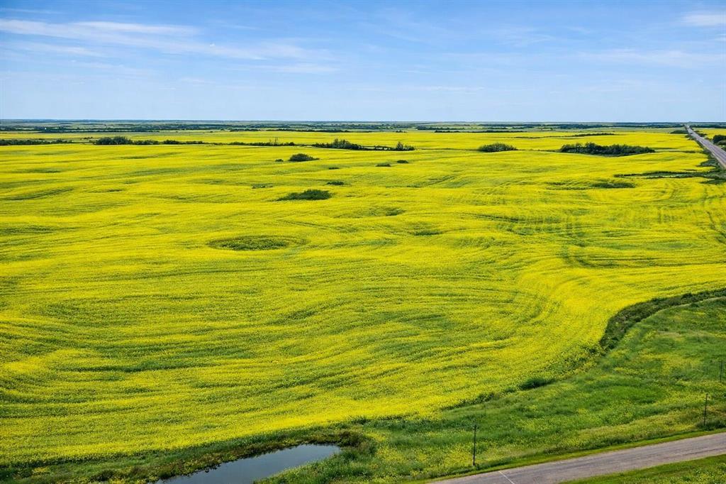 Photo of Listing #A2273743