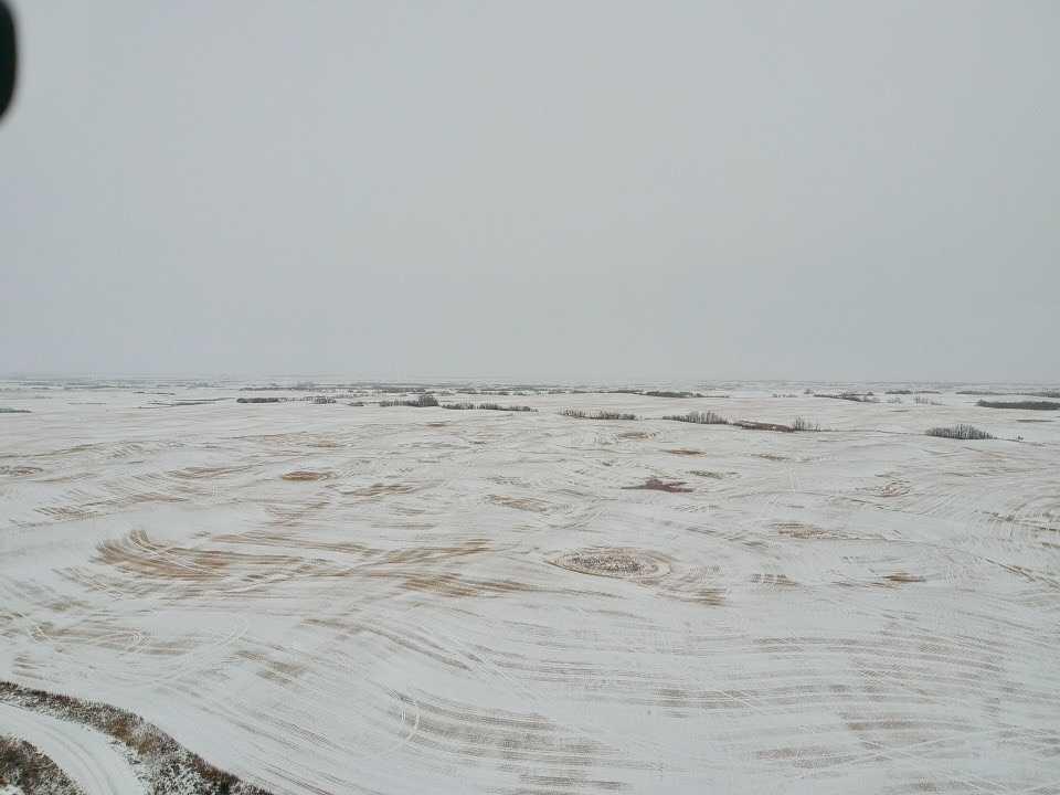 Photo of Listing #A2273743