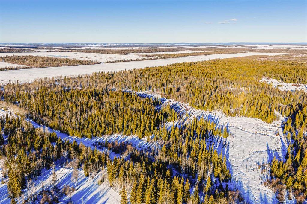 Photo of Listing #A2276197