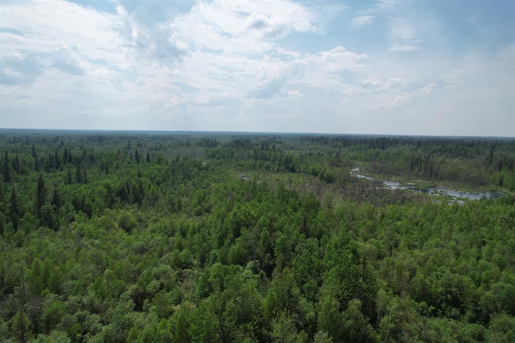 Photo of Listing #A2278939