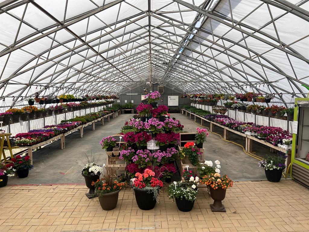 Photo of Listing #A1225229