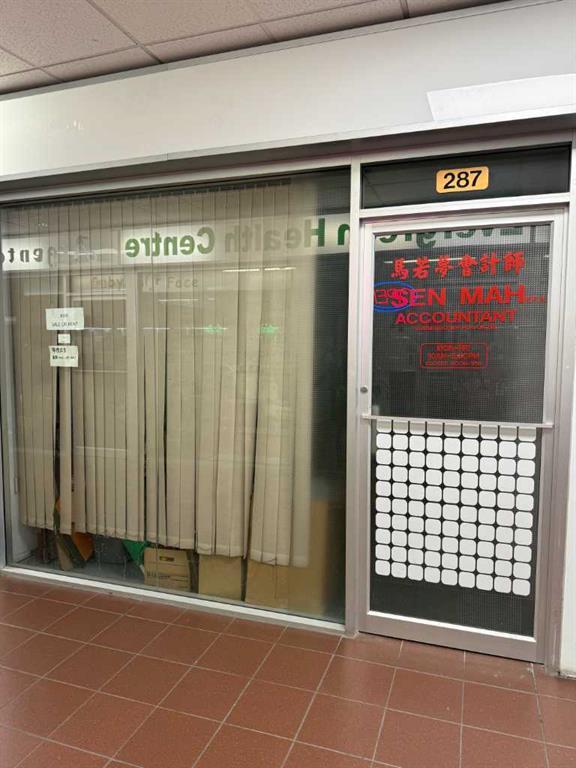 Calgary Home for Sale: Commercial Listing in Chinatown