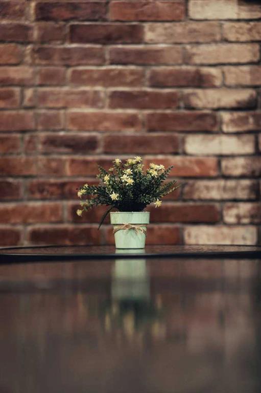 Photo of Listing #A2274241