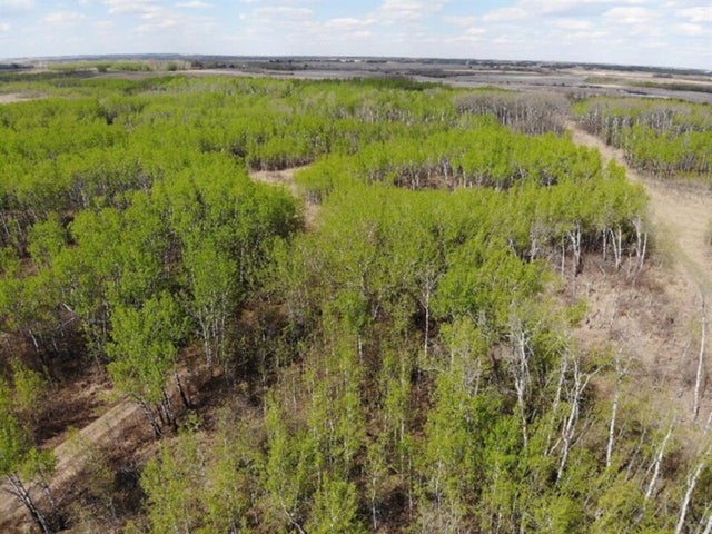 450031 73 Range, Rural Wainwright No. 61, M.D. of