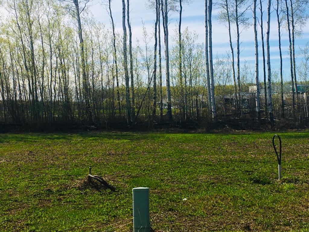 Photo of Listing #A1229218