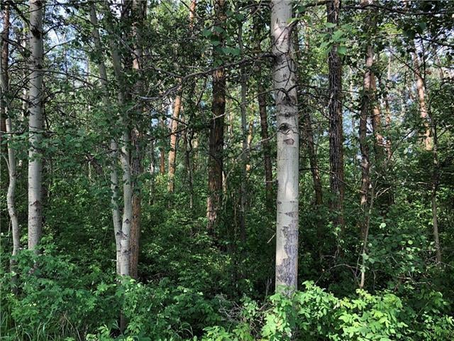 Lot 15 Campsite Road, Plamondon