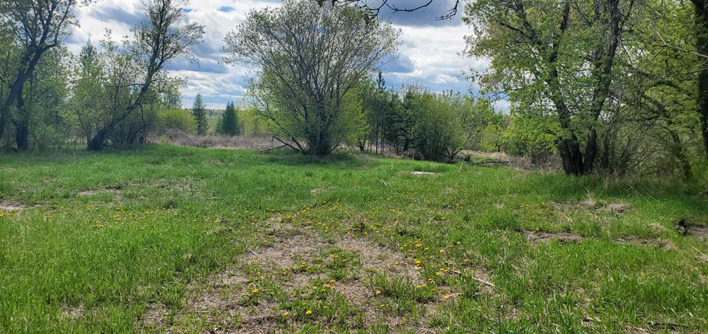 Photo of Listing #A2136198