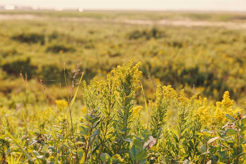 Photo of Listing #A2158857