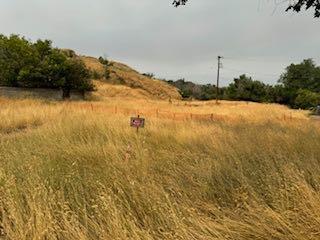 Photo of Listing #A2160099