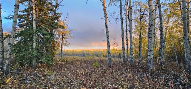 92 Range, Rural Saddle Hills County