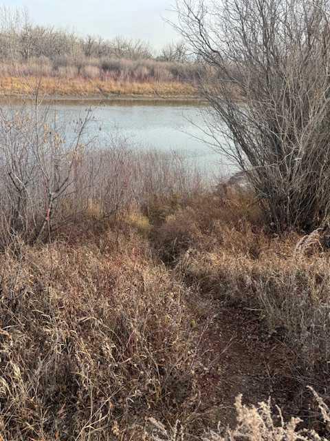 Photo of Listing #A2179461