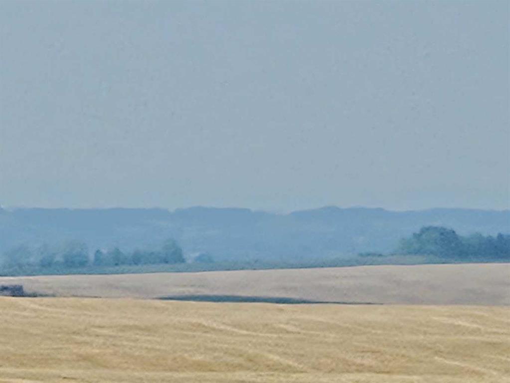 Photo of Listing #A2185723